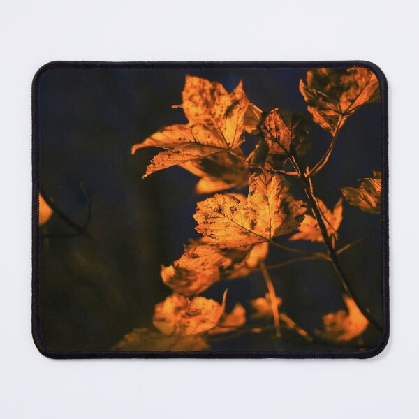 Item preview, Looking - A view designed and sold by Carl Gaynor.