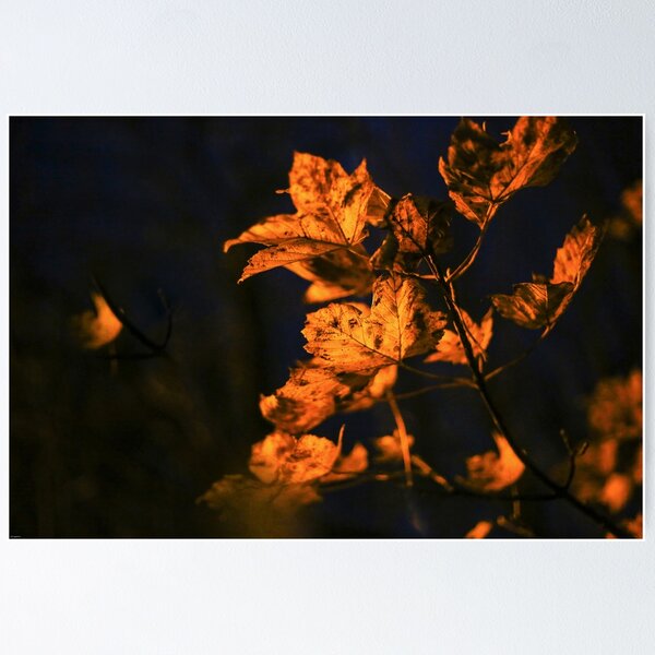 Item preview, Mirando - Una vista designed and sold by Carl Gaynor.