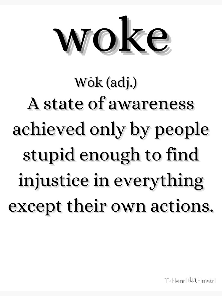 definition of woke        <h3 class=