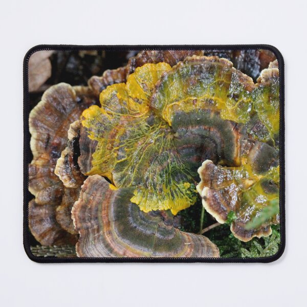 Item preview, Nature's Splash Art designed and sold by cuprum.
