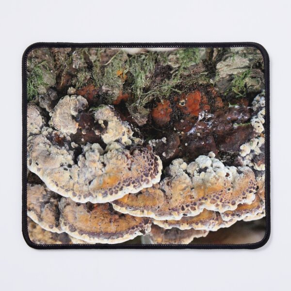 Item preview, Nature's Painting designed and sold by cuprum.