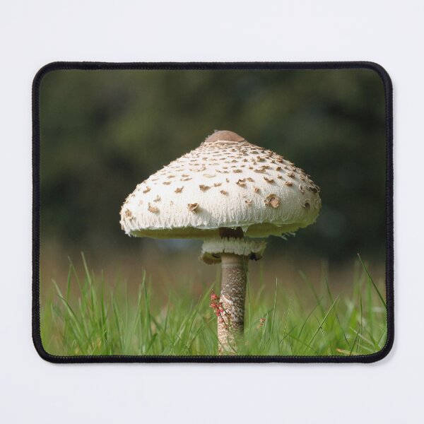 Item preview, Parasol designed and sold by cuprum.