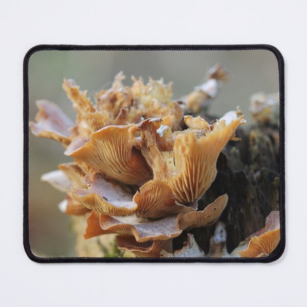 Item preview, Hongos en marzo designed and sold by cuprum.