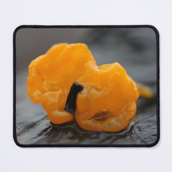 Item preview, Tiny orange blob designed and sold by cuprum.