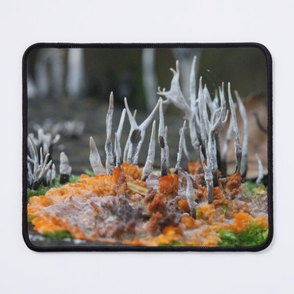 Item preview, Pizza al funghi designed and sold by cuprum.