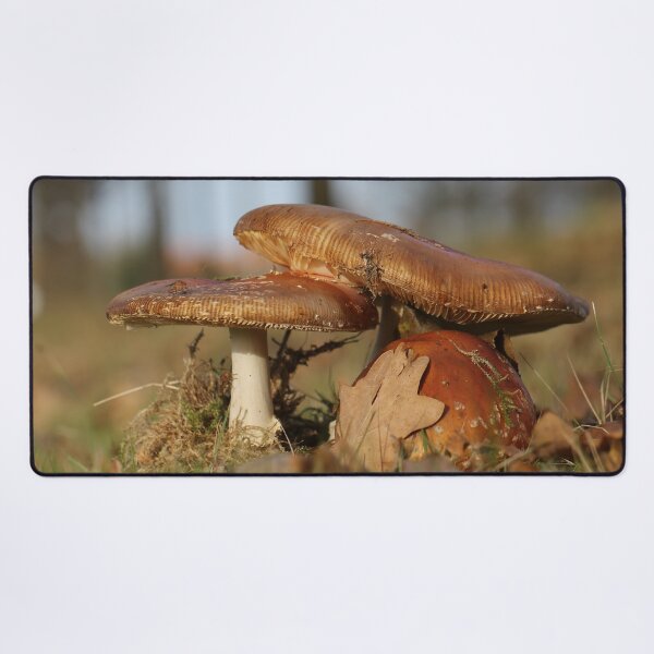 Item preview, Fly agaric threesome designed and sold by cuprum.