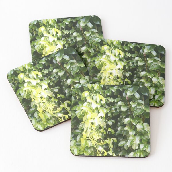 Item preview, Green creepers (Green flower creepers) Plant pattern designed and sold by Paint84.