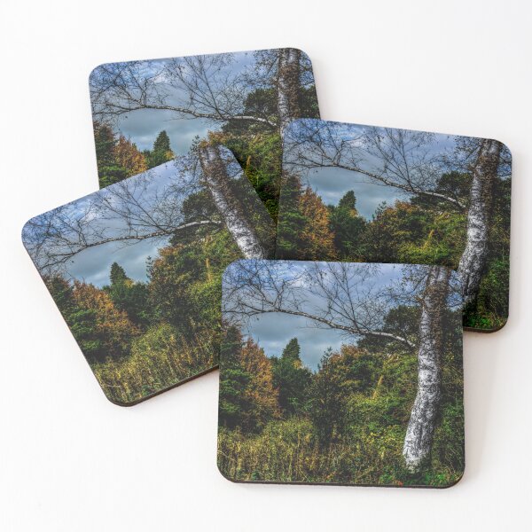 Item preview, Autumnal Silver Birch designed and sold by axp7884.