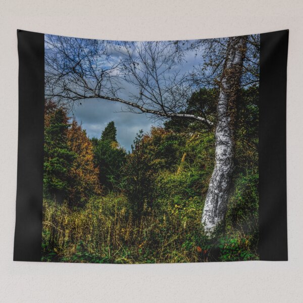 Item preview, Autumnal Silver Birch designed and sold by axp7884.