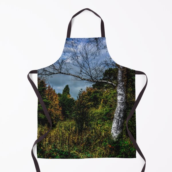 Item preview, Autumnal Silver Birch designed and sold by axp7884.