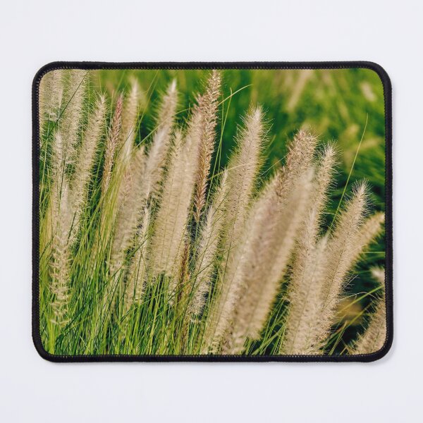 Item preview, Under the warm sun no2 designed and sold by Kiran-Fine-Art.