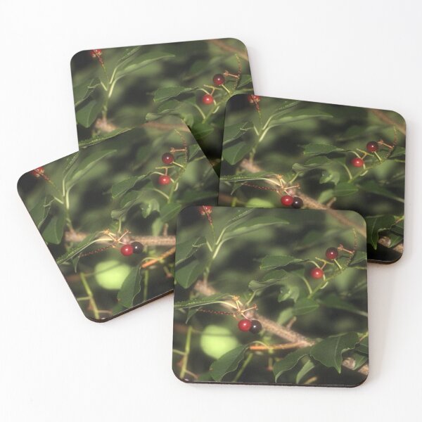 Item preview, Wild Cherries in the Shadowy Evening designed and sold by JariHawk.