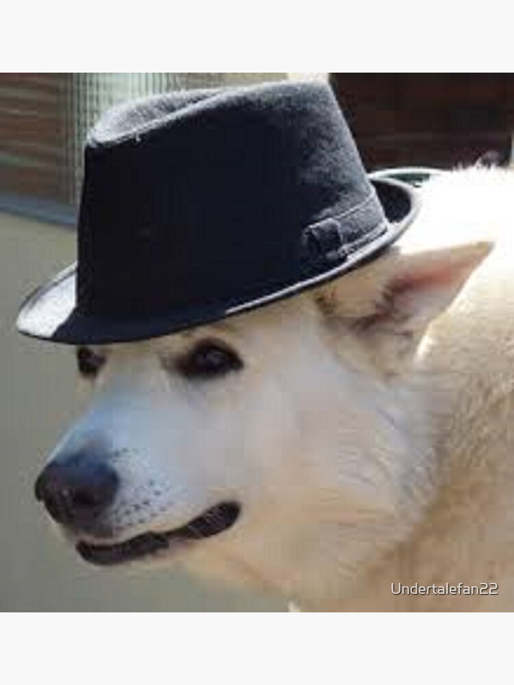 dog in fedora