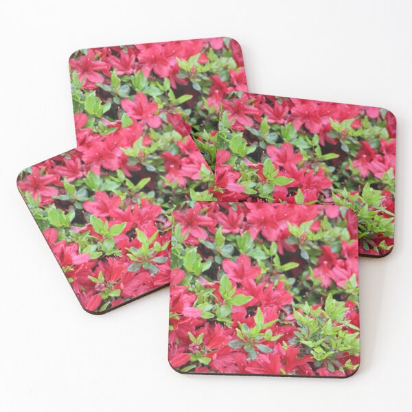 Item preview, Bright Red Azalea Blooming Bush Flowers designed and sold by JariHawk.
