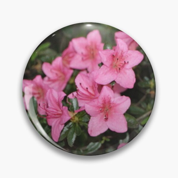 Item preview, Medium Pink Azalea Flower Night Time Bush designed and sold by JariHawk.