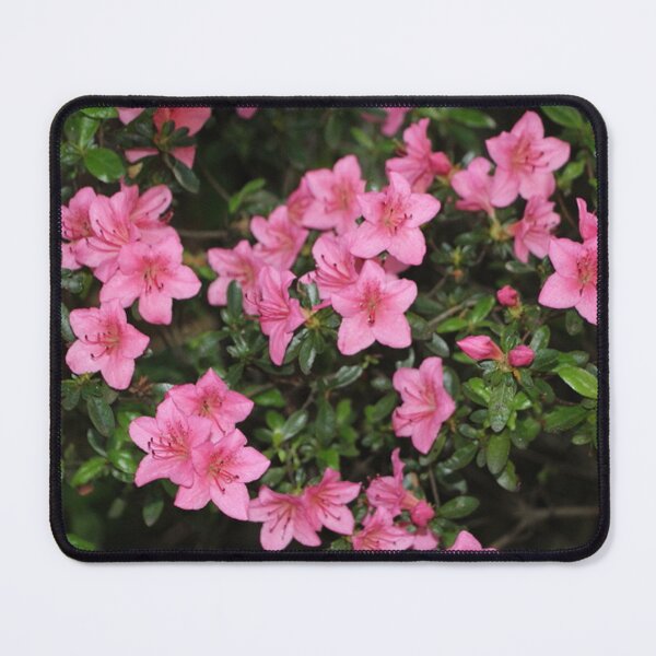 Item preview, Medium Pink Azalea Flower Night Time Bush designed and sold by JariHawk.