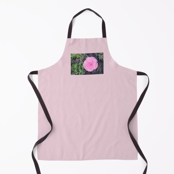 Item preview, Pretty Pink Reiger Begonia Flower in Garden designed and sold by JariHawk.