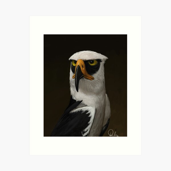 A bald eagle soaring high. Watercolor painting by Terrance Taylor - Fine Art  Water Color Print