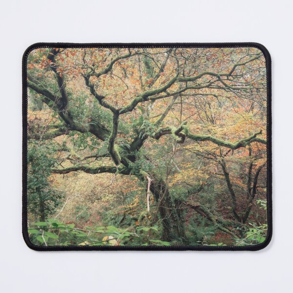 Item preview, TWIST OF AUTUMN designed and sold by Andrew Hocking.