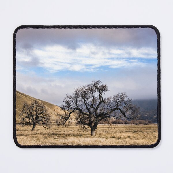 Item preview, Trees on a ranch along Interstate 5 near California's Fort Tejon State Park designed and sold by OrcaNature.