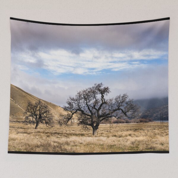Item preview, Trees on a ranch along Interstate 5 near California's Fort Tejon State Park designed and sold by OrcaNature.