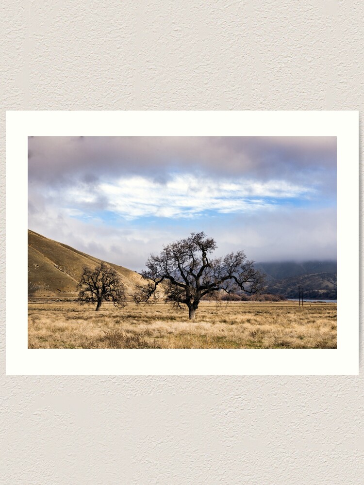 "Trees on a ranch along Interstate 5 near California's Fort Tejon State Park" Art Print for Sale