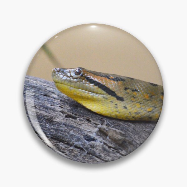 Item preview, Green Anaconda designed and sold by Nature's Reflections.