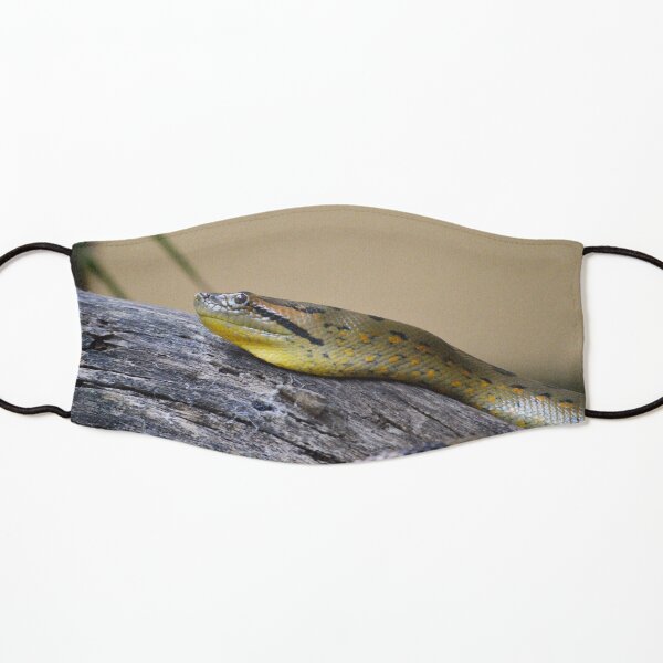 anaconda fishing mask