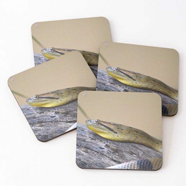 Item preview, Green Anaconda designed and sold by Nature's Reflections.