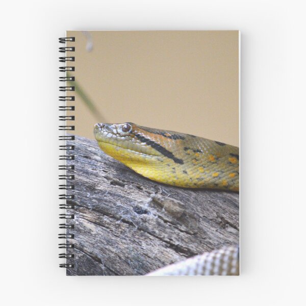 Item preview, Green Anaconda designed and sold by Nature's Reflections.