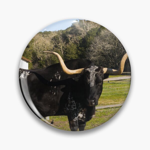 Item preview, Longhorn steer at La Purisima Mission, Lompoc, California designed and sold by OrcaNature.