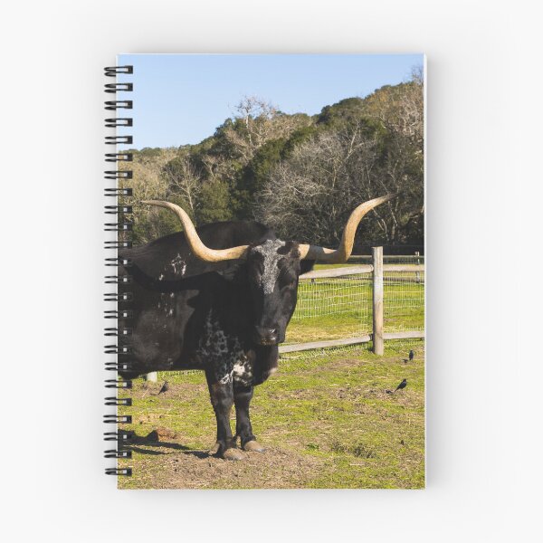 Item preview, Longhorn steer at La Purisima Mission, Lompoc, California designed and sold by OrcaNature.