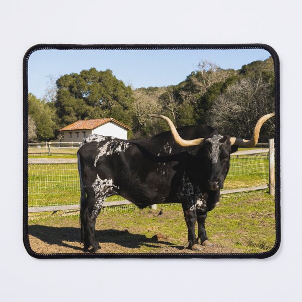 Item preview, Longhorn steer at La Purisima Mission, Lompoc, California designed and sold by OrcaNature.