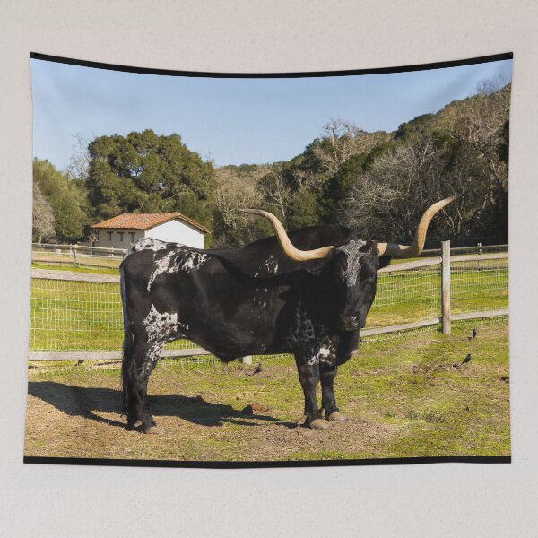 Item preview, Longhorn steer at La Purisima Mission, Lompoc, California designed and sold by OrcaNature.
