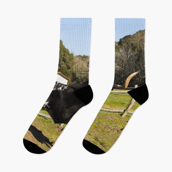 Item preview, Longhorn steer at La Purisima Mission, Lompoc, California designed and sold by OrcaNature.