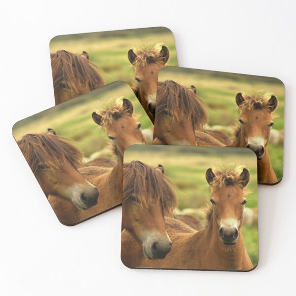 Aperçu de l'œuvre Exmoor Pony with Foal créée et vendue par Jo Nijenhuis.