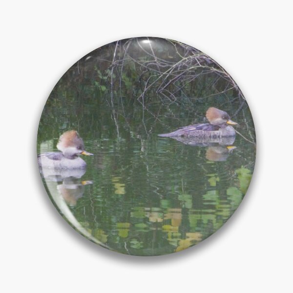 Item preview, Hooded Merganser Hens designed and sold by Nature's Reflections.
