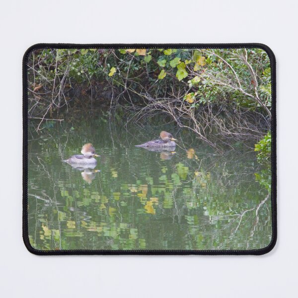 Item preview, Hooded Merganser Hens designed and sold by Nature's Reflections.