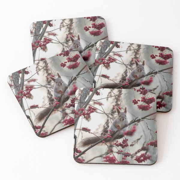 Item preview, Eurasian red squirrel and all those rowan berries designed and sold by Jouko Lehto Photography.