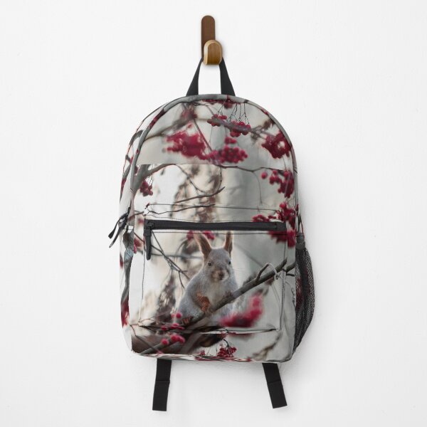 Item preview, Eurasian red squirrel and all those rowan berries designed and sold by Jouko Lehto Photography.