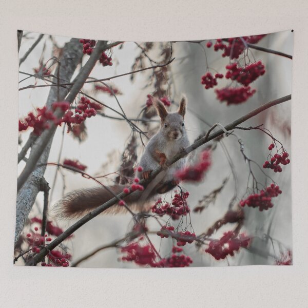 Item preview, Eurasian red squirrel and all those rowan berries designed and sold by Jouko Lehto Photography.