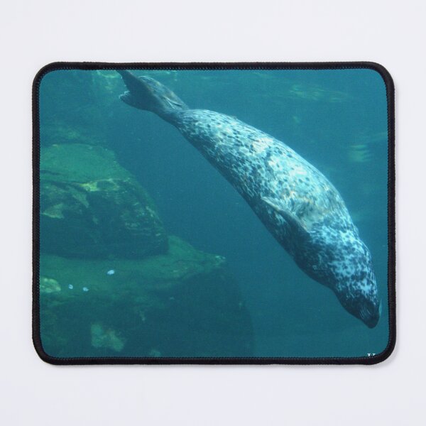 Item preview, Selkie Dive designed and sold by Nature's Reflections.