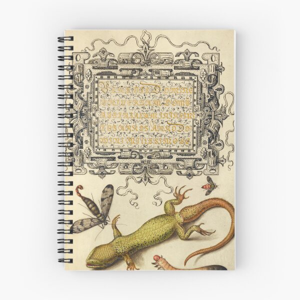 Item preview, Naturalist Manuscript: Insects, Lizard, and Calligraphy Illumination by Joris Hoefnagel designed and sold by Naturalist Prints.