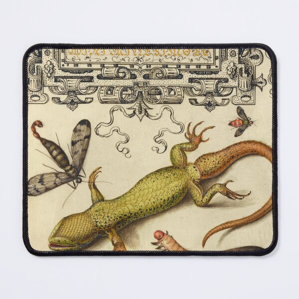 Item preview, Naturalist Manuscript: Insects, Lizard, and Calligraphy Illumination by Joris Hoefnagel designed and sold by Naturalist Prints.