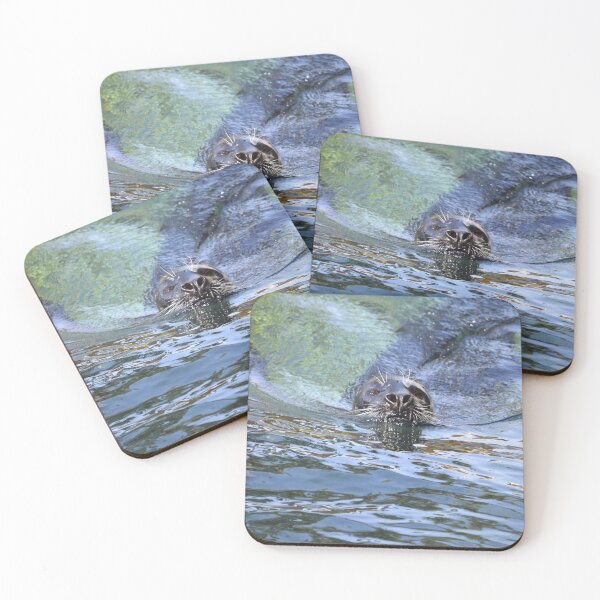 Item preview, Selkie Closeup designed and sold by Nature's Reflections.