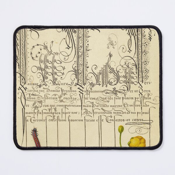 Item preview, Naturalist Manuscript: Insects, Flower, and Calligraphy Illumination by Joris Hoefnagel designed and sold by Naturalist Prints.