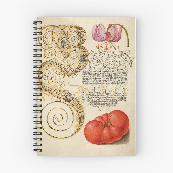 Item preview, Naturalist Manuscript: Tomato, Flower, and Calligraphy Illumination by Joris Hoefnagel  designed and sold by Naturalist Prints.