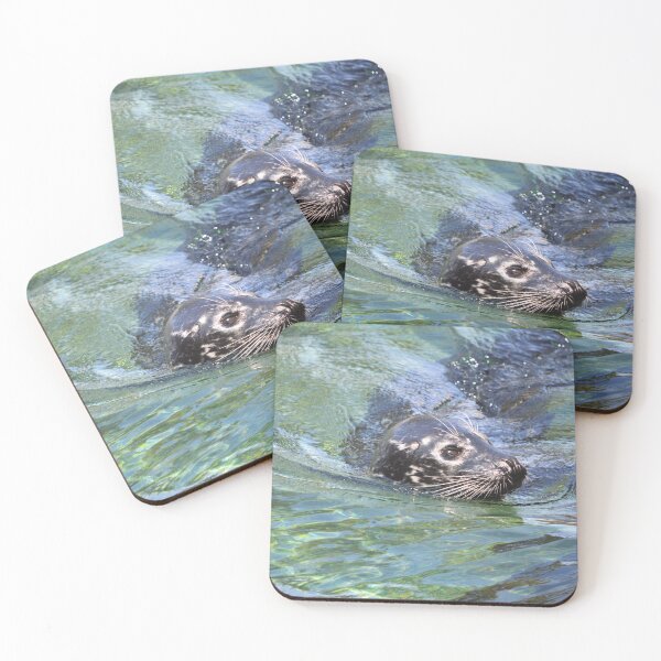 Item preview, Selkie Closeup 2 designed and sold by Nature's Reflections.