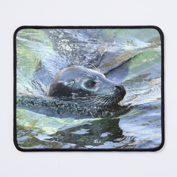 Item preview, Selkie Closeup 3 designed and sold by Nature's Reflections.