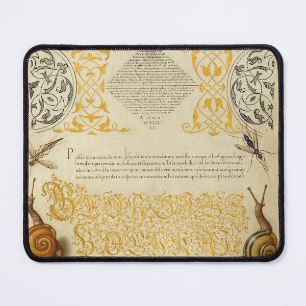 Item preview, Naturalist Manuscript Plants, Snails, and Calligraphy Illumination by Joris Hoefnagel designed and sold by Naturalist Prints.